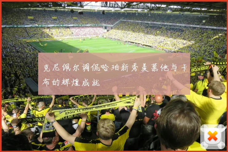 克尼佩尔调侃哈珀新秀羡慕他与卡布的辉煌成就
