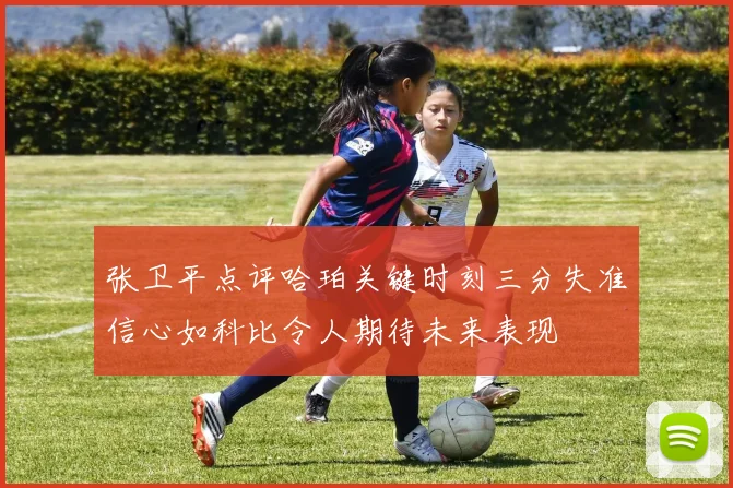 张卫平点评哈珀关键时刻三分失准信心如科比令人期待未来表现