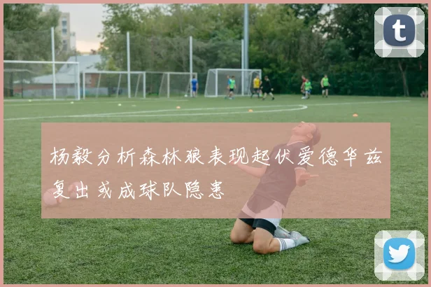 杨毅分析森林狼表现起伏爱德华兹复出或成球队隐患